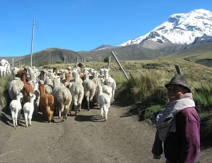 Andes Alpaca Ranch