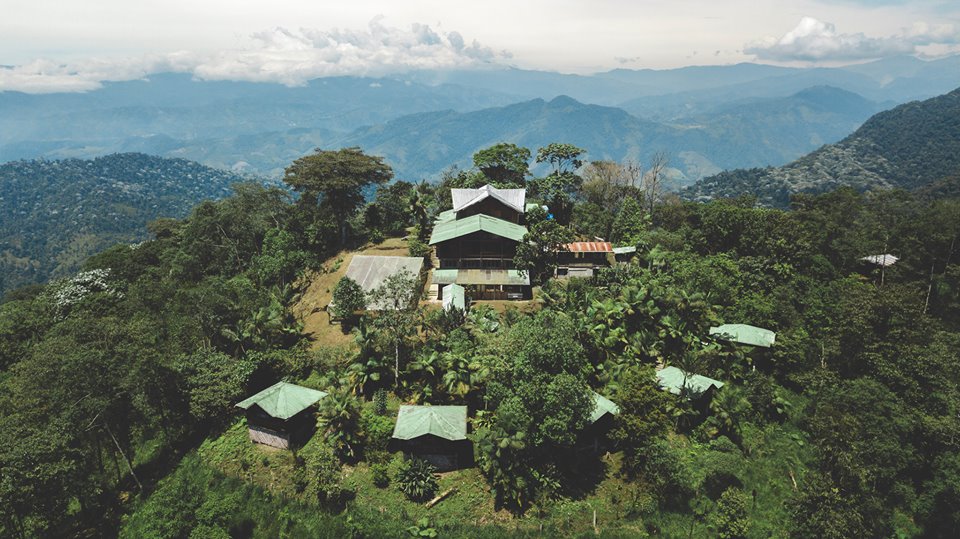 Volunteer in the Cloud Forest