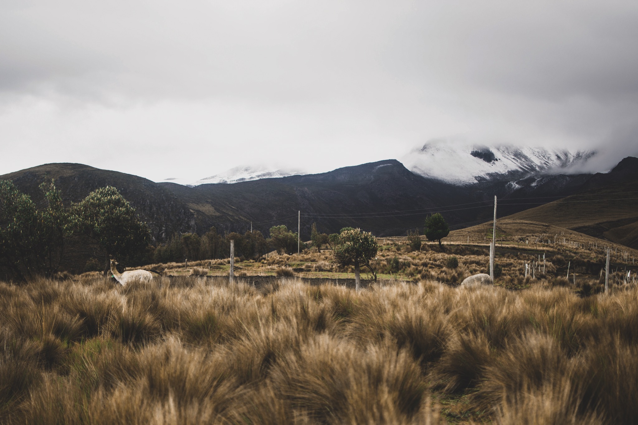 Volunteer in the Andes